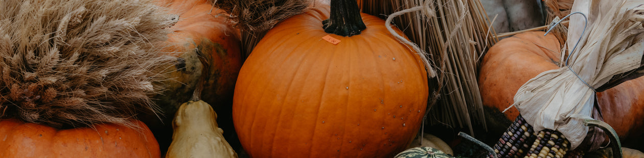 PUMPKIN SPICE MARTINI