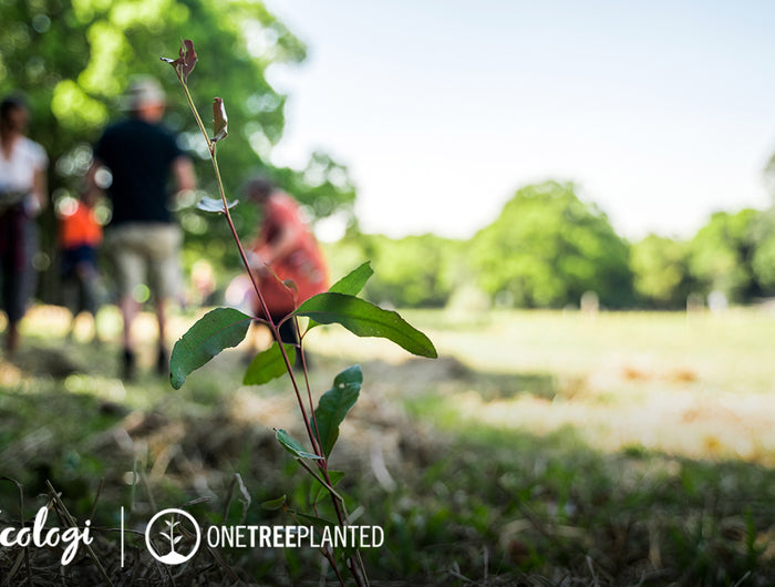 TAKING CLIMATE ACTION FOR OUR PLANET
