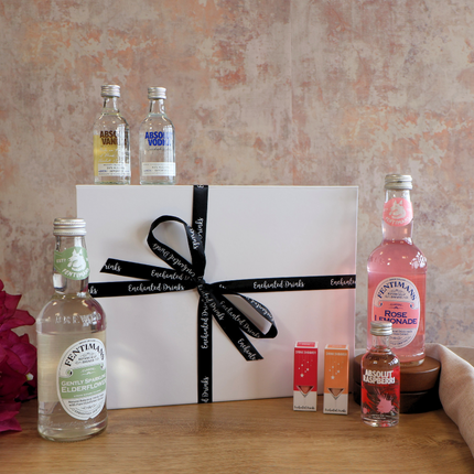 Absolut Vodka Gift Set